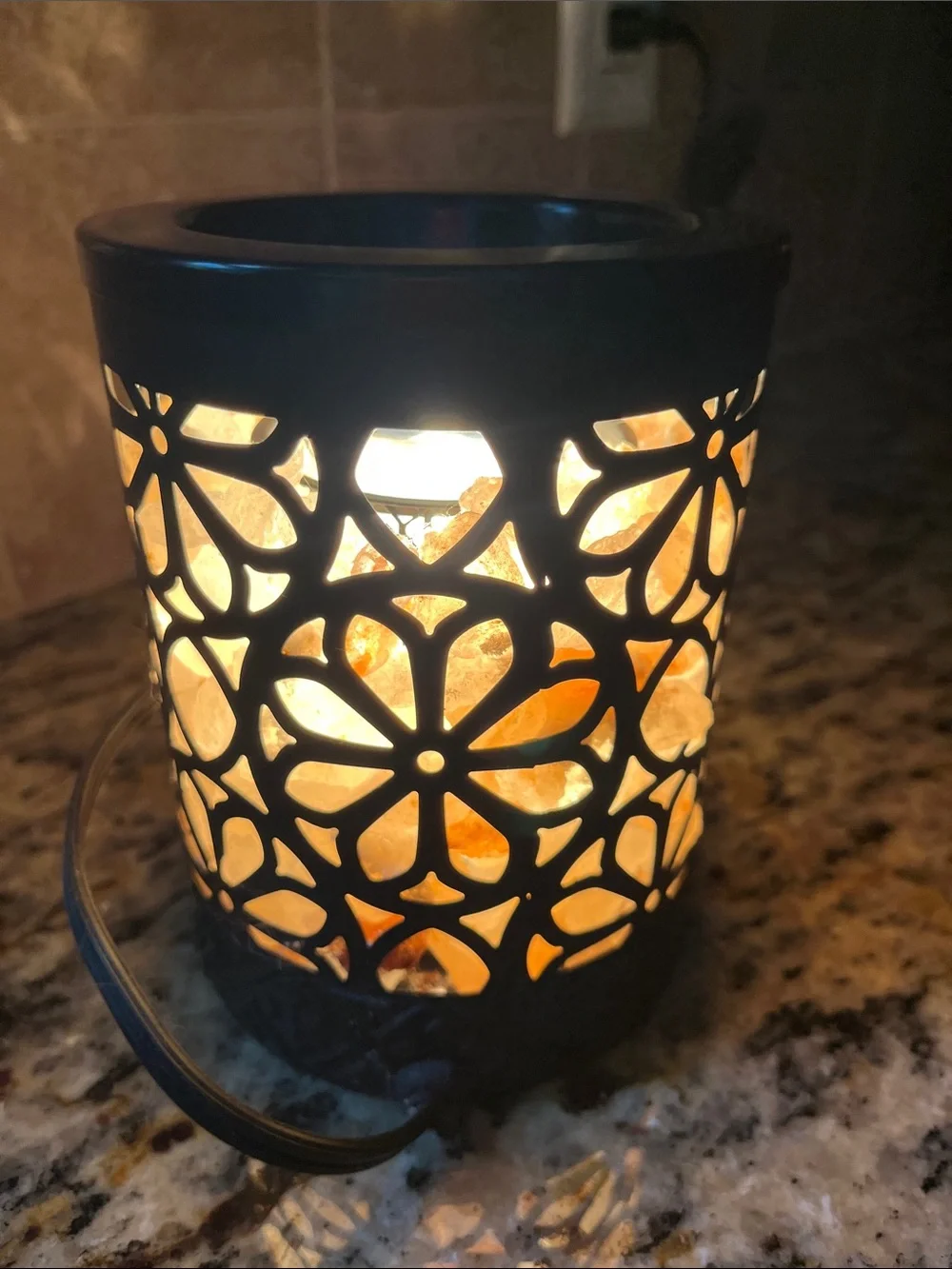 Himalayan Salt Lamp Electric Fragrance Warmer in Black Floral Cutout